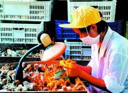 2003中山農災年奪收業(yè)呈現十大亮點