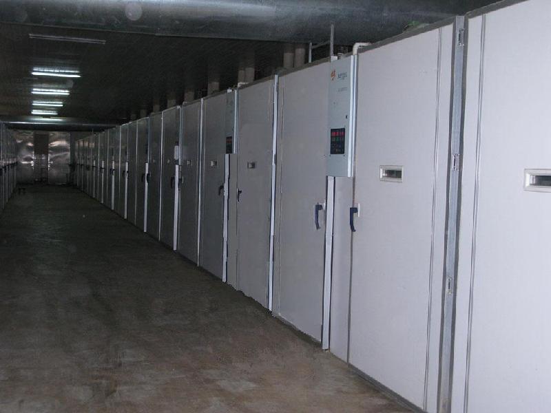 西洼鵝苗家禽孵化場 - 商國互聯網