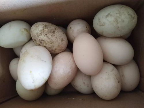 春節大事, 您無形中幫她, 她卻在幫您