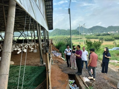 江永縣政協調研家禽和肉鴿養殖發展情況