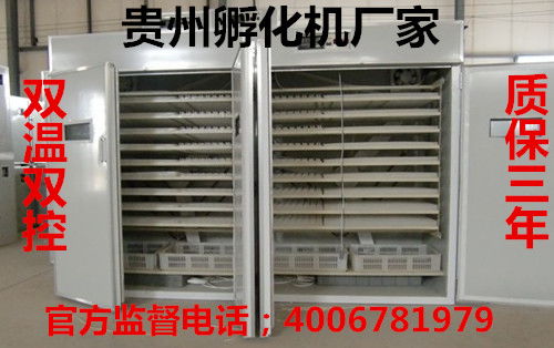 2112枚全自動多功能家禽珍禽孵化機多少錢一臺