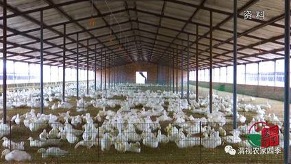 渭南市農業(yè)產業(yè)(企業(yè))復工率達96.6%