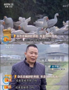 因為一個女人,他賣掉北京兩套房,2年后打造年銷3000萬的產業(yè)