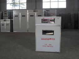 德州恒源孵化設(shè)備廠 專業(yè)家禽孵化解決方案提供商