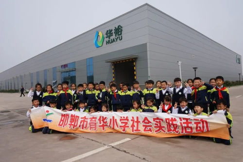 農(nóng)業(yè)知識(shí)與智慧 從花生的生長到麥苗韭菜的辨識(shí)，代表建議與家禽孵化的啟示