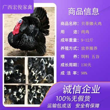 家禽市場(chǎng)價(jià)格與孵化周期分析